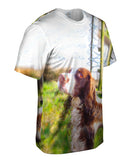 Scruffy Haired Cocker Spaniel