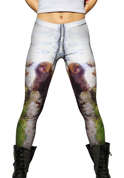 Scruffy Haired Cocker Spaniel&nbsp;Womens Leggings