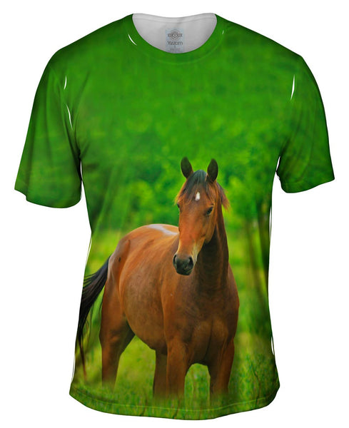 Boundless Horse Mens T-Shirt