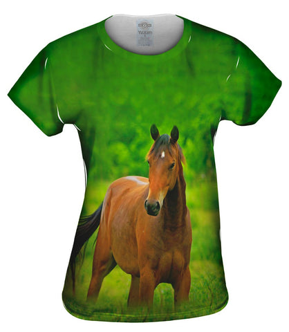 Boundless Horse