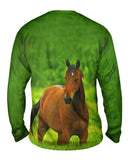 Boundless Horse
