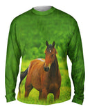 Boundless Horse