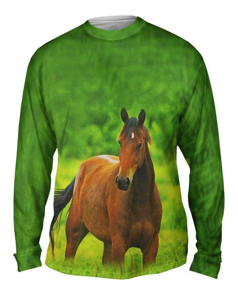 Boundless Horse&nbsp;Mens Long Sleeve