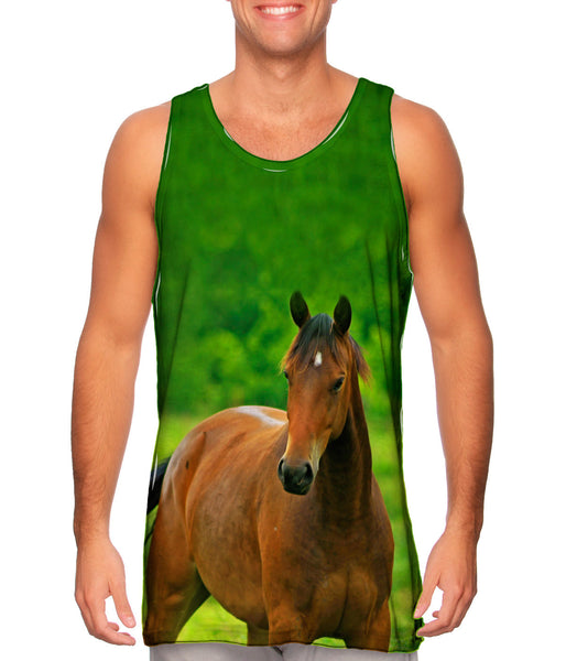 Boundless Horse&nbsp;Mens Tank Top