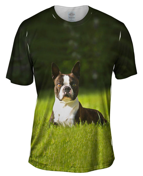 Giddy Boston Terrier Mens T-Shirt