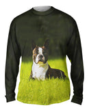 Giddy Boston Terrier