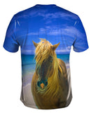 Sand Swept Beach Horse