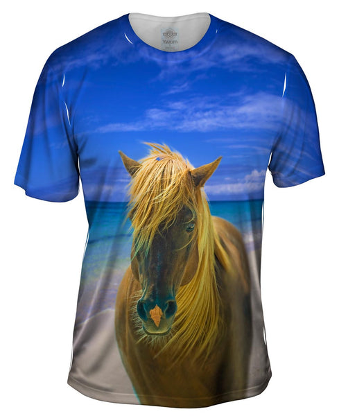 Sand Swept Beach Horse Mens T-Shirt