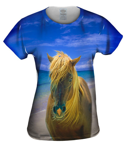 Sand Swept Beach Horse