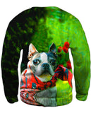 Super Hero Boston Terrier