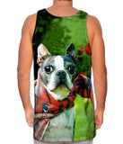 Super Hero Boston Terrier