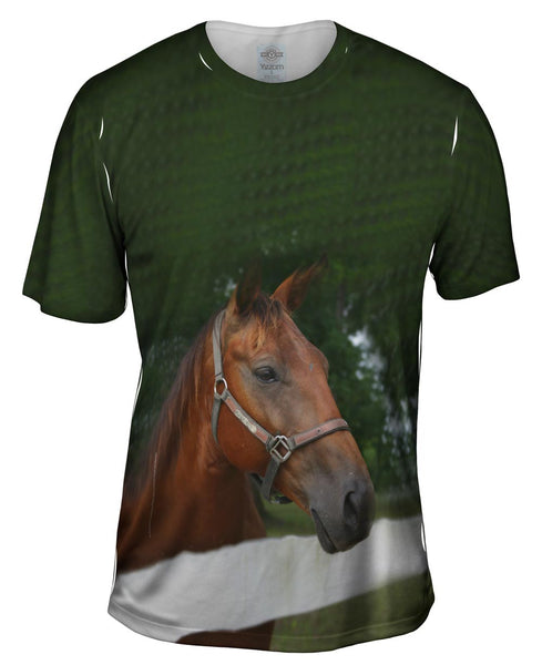 All Knowing Horse Mens T-Shirt