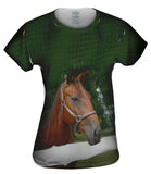 All Knowing Horse