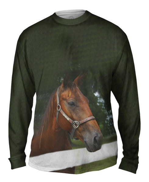 All Knowing Horse&nbsp;Mens Long Sleeve