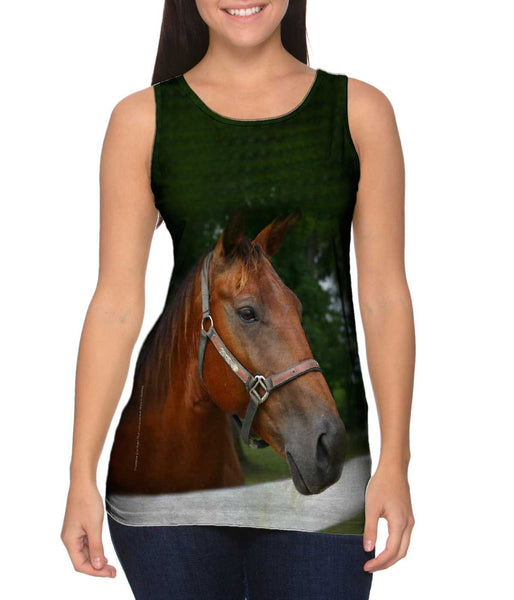 All Knowing Horse Womens Tank Top