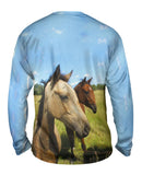 Beautiful Pair Of Horses