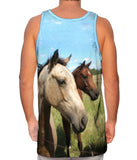 Beautiful Pair Of Horses