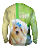 Fluffy Maltese