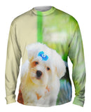Fluffy Maltese