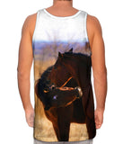 Horse Playing Horses