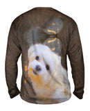 Obedient White Maltese