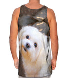 Obedient White Maltese