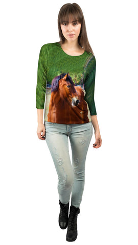 Longing  Horse