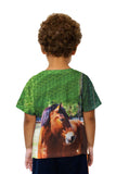 Kids Longing  Horse