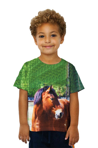 Kids Longing  Horse