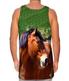 Longing  Horse