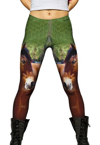 Longing  Horse