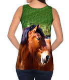 Longing  Horse