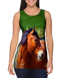 Longing  Horse