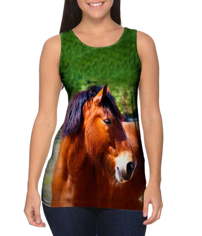 Longing  Horse