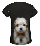 Mellow Baby Maltese