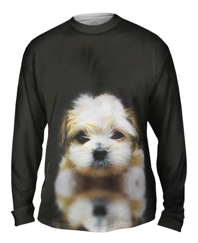 Mellow Baby Maltese