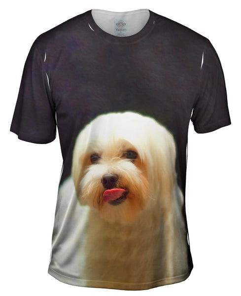 Painting Gold Maltese&nbsp;Mens T-Shirt