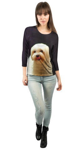 Painting Gold Maltese