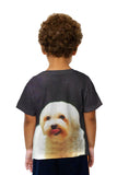 Kids Painting Gold Maltese