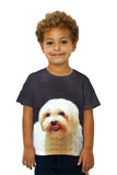 Kids Painting Gold Maltese