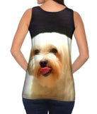 Painting Gold Maltese