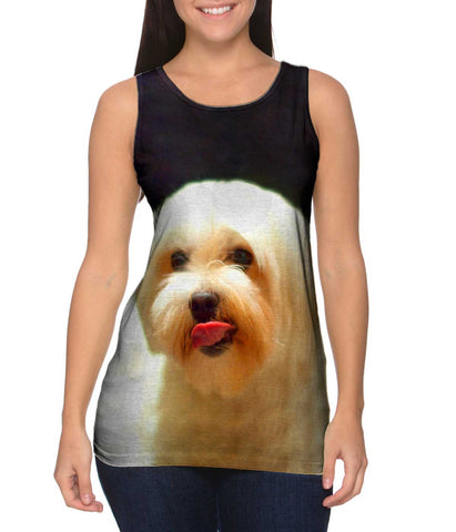 Painting Gold Maltese