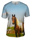 Mountainous Brown White Horse