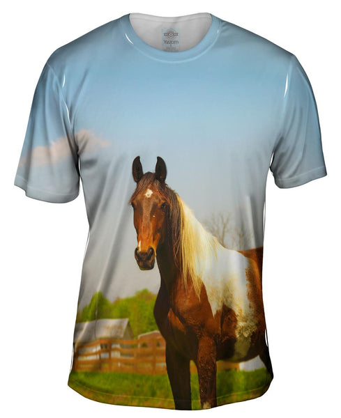 Mountainous Brown White Horse Mens T-Shirt