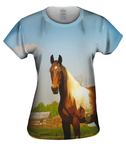 Mountainous Brown White Horse