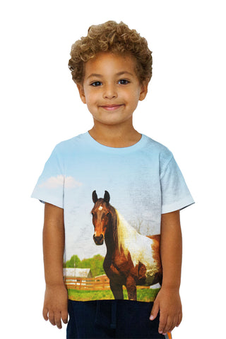 Kids Mountainous Brown White Horse