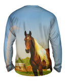 Mountainous Brown White Horse