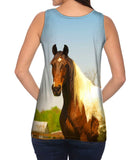 Mountainous Brown White Horse