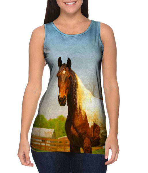 Mountainous Brown White Horse&nbsp;Womens Tank Top