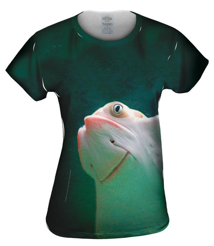 Sting Ray Rising